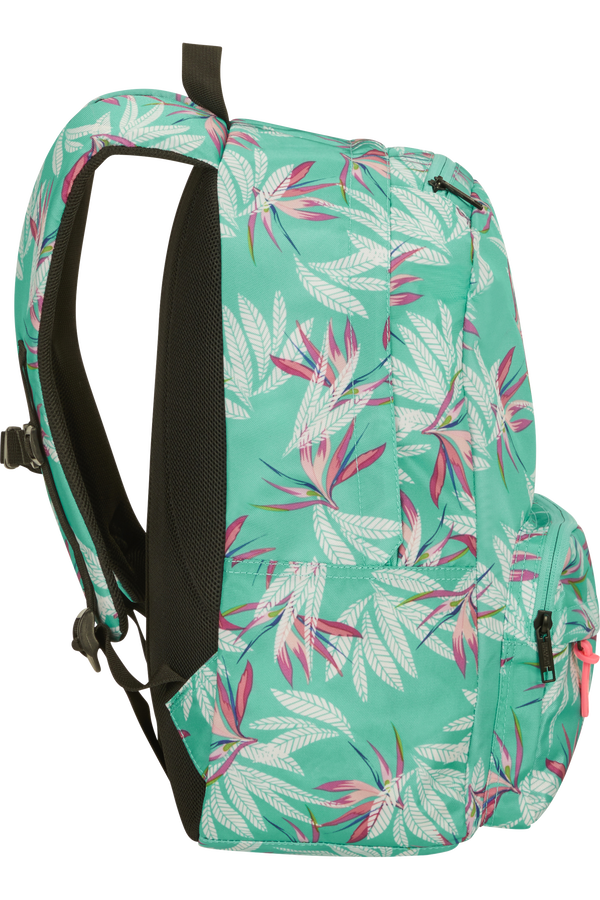 American Tourister Urban Groove Lifestyle Backpack  Bloom