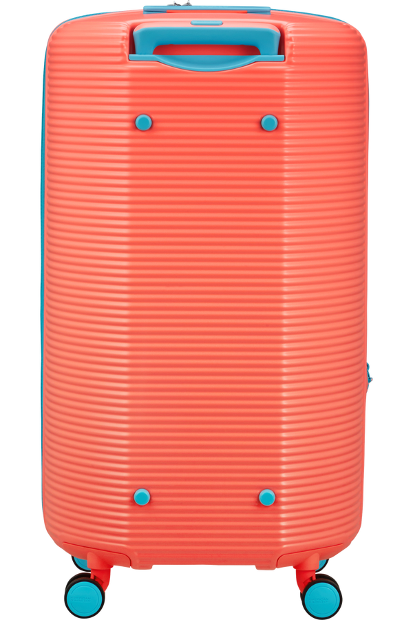 American tourister spicy peach deals
