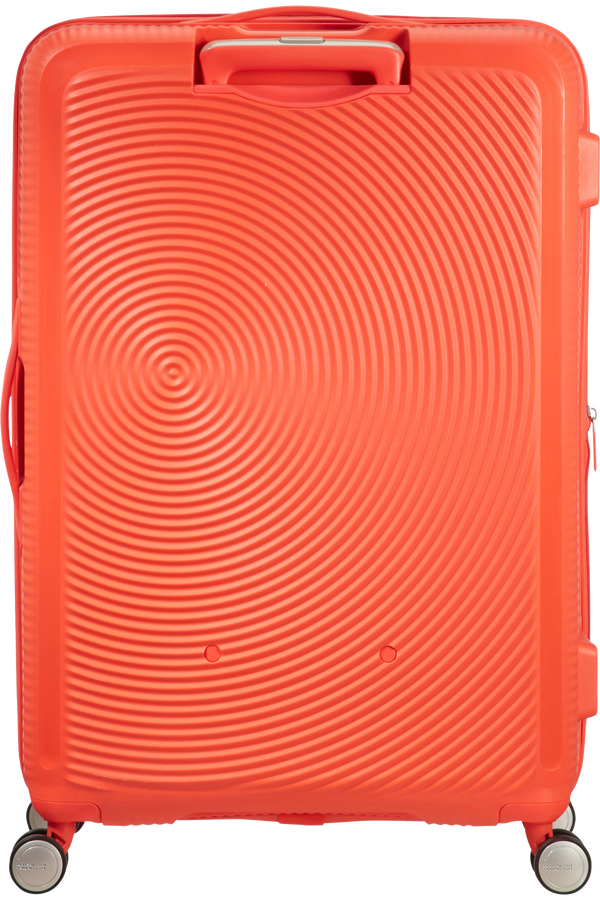 American tourister spicy peach deals
