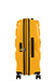 Bon Air Dlx Trolley mit 4 Rollen Erweiterbar 66cm